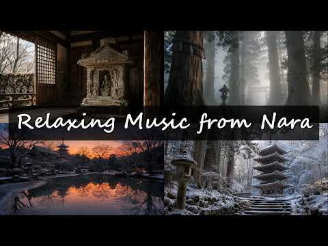 Sounds of the Journey — Nara in Winter Vol.2 | 2h 20min Album | Nara ambient BGM