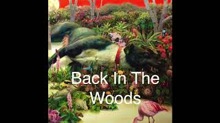 Rival Sons-Back In The Woods (Audio)