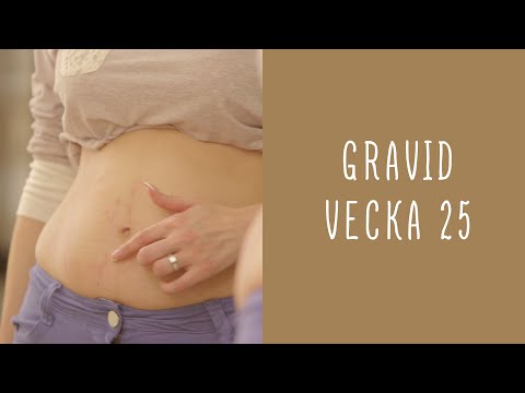 Gravid vecka 25