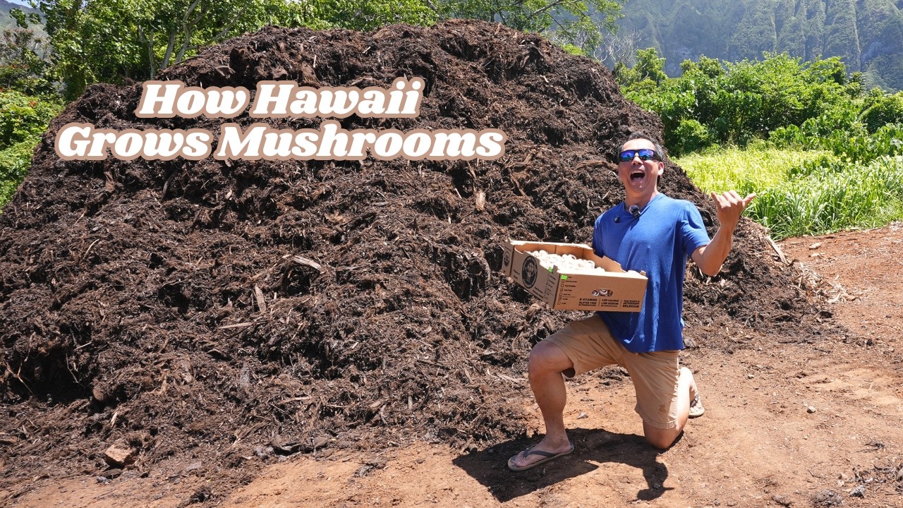 Small Kine Farm — Farm Lovers Markets