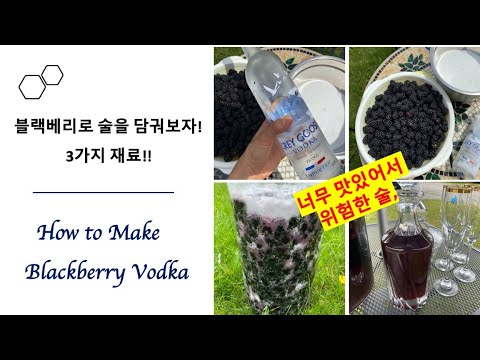 , title : '[ENG]Making Blackberry Vodka | 블랙베리로 술을 담궈보자 | 너무 맛있어서 위험한 술'