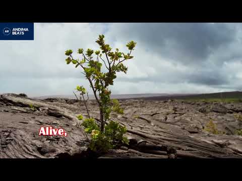 ilan Bluestone pres. StoneBlue feat. Emma Hewitt - Hypnotized (lyrics)