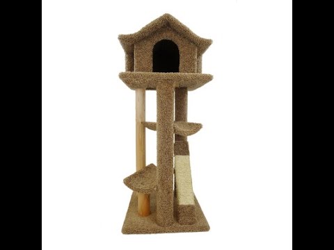 download lagu mp3 mp4 Pagoda Cat Tree, download lagu Pagoda Cat Tree gratis, unduh video klip Pagoda Cat Tree