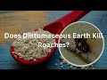 How To Kill Cockroaches With Diatomaceous Earth (Safe For Kids and Pets) - DE And Cockroaches