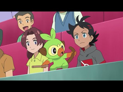 🌿Grookey cute moments| pokemon journeys ep 77.