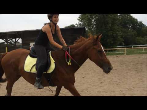 Skoki cordeo- 24.07.2016