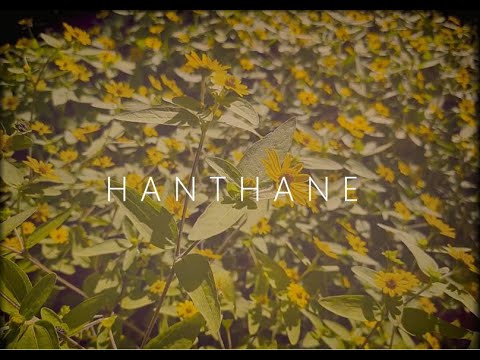 D I N U L- Hanthane (cover)