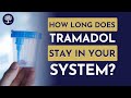 How Long Does Tramadol Stay In Your System The Recovery Village DrugUse DrugFacts