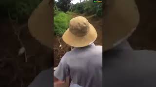 FFuvico. Chuyến đi công nông kinh điển vào vườn Tiêu - Dak Nông