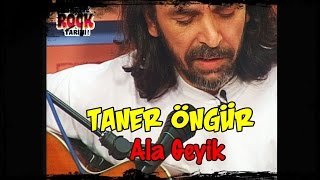 Taner ÖNGÜR | Ala Geyik (1997)