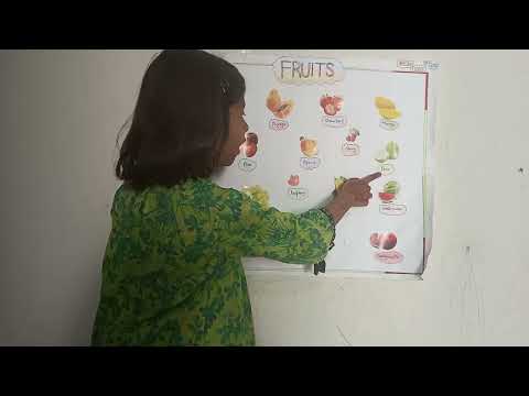 fruits name@ learn fruits name with areeba