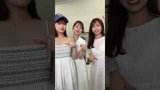 夏だね😆気分上々↑↑🏝【ブルーミーチャンネル】 #shorts