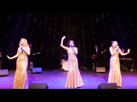 The Starlets | 50s & 60s Hits | Motown Band | Sunset Live Entertainment
