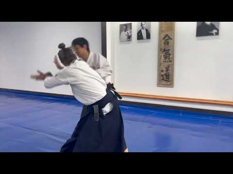Aikido (合気道) Fluid Techniques (Yokomenuchi Jiyuwaza)