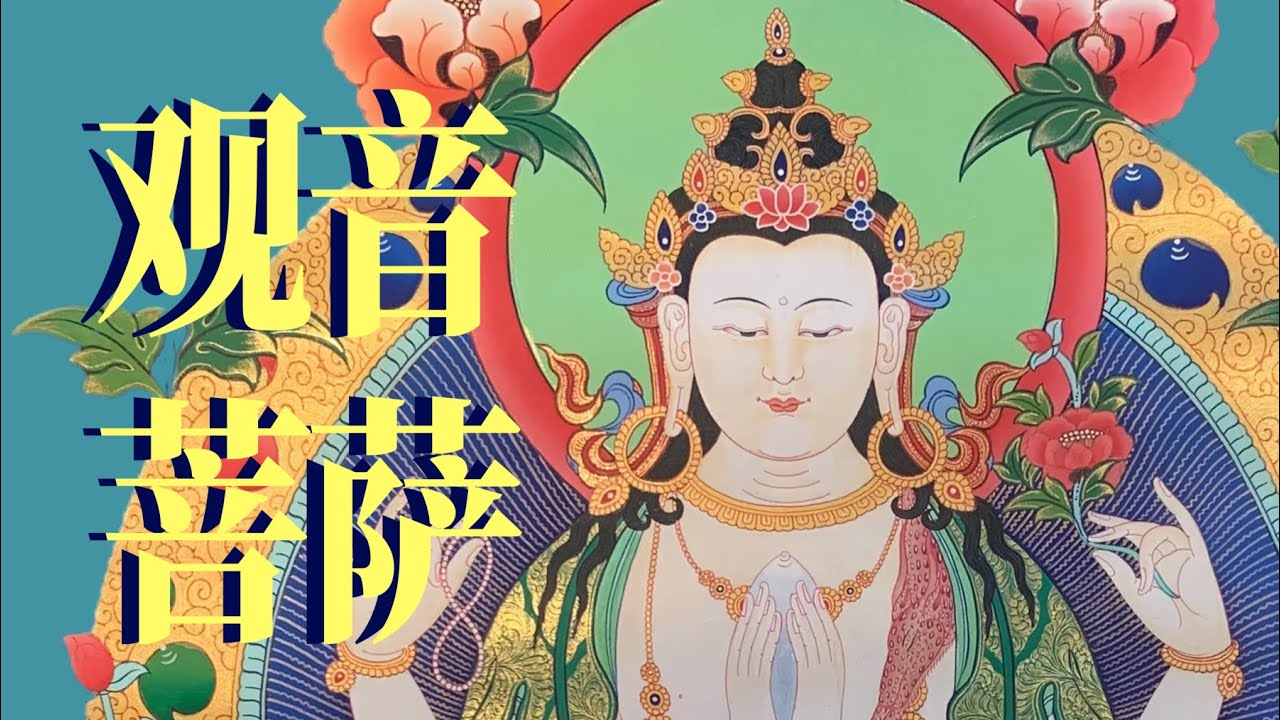 在普陀山⛰️聊聊观音菩萨：为何拜祂是中华显学👏？【大玄学】｜X博士