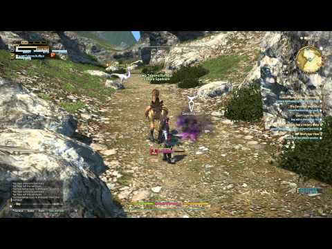 Let's Play FFXIV: Warrior 40 Quest