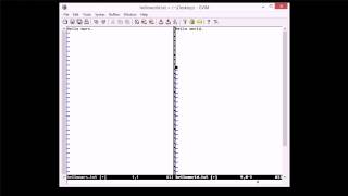 Editing With vim 09 - Using Windows and Tabs