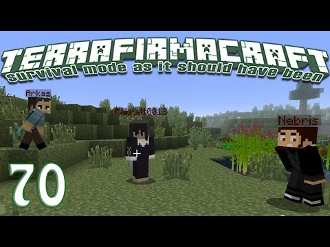 Terrafirmacraft Reloaded - E70 - Saws (Minecraft)