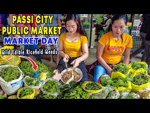PASSI CITY PUBLIC MARKET Walking Tour | Sweet City in the Heart of Panay Island | PASSI ILOILO |