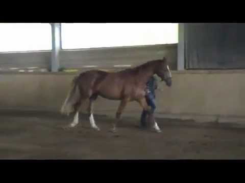 Lillifee v. Londontime