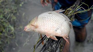 Download lagu Unique Tata fishing System | New Tata Fishing Method in the Reservoir | Tata fishing 2020 P-74 mp3