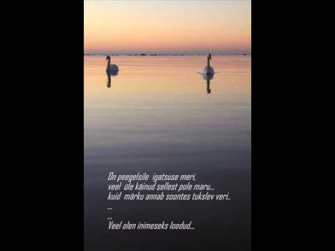 Siiri Sisask  IGATSUSE MERI