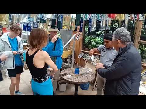 “El mejor café del mundo está en Boquete 🇵🇦 | Coffee Tour que tienes que vivir"