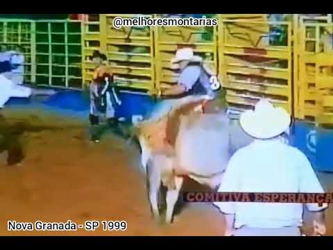 TOURO MARACUTAIA - RODEIO DE NOVA GRANADA 1999