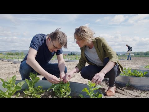 KWS: Protect the seed with biologicals – ecologically and sustainably