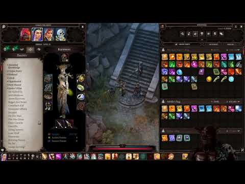 Party Micro Management - Tactician - Divinity Original Sin 2 LP #44