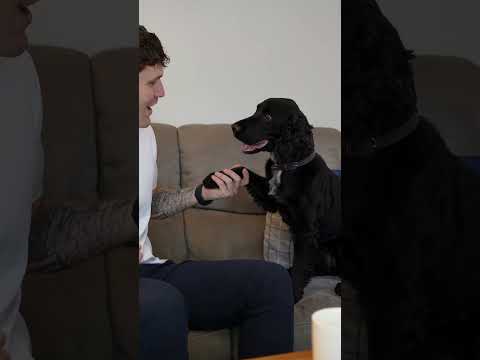 Property video thumbnail