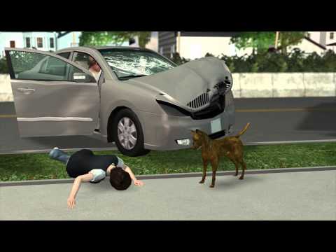 Dog swims half-mile to kayaker after witness owner's death in drunk driving accident