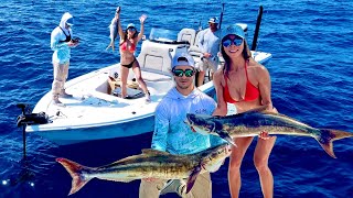 Cobia Chaos on Offshore Wrecks | Audrey’s FLAG Yellowtail | St. Pete Beach 