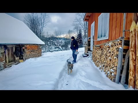 Mykhailo’s Simple Village Life in the Snowy Carpathians | Traditional Rural Day