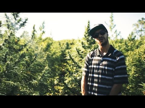 Eltin - Legalizashow feat. Adonai Cidade Verde