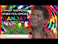 What Happens When You Smoke WEED MARIJUANA GANJA Explained In Tamil Muhil