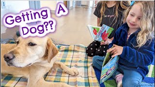 Are We Getting A Dog?!