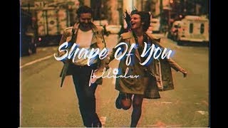 Shape Of You - Ed Sheeran (Lyrics & Vietsub)