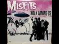 The Misfits-Skulls 