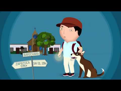 ¿Qué es el Código Postal?