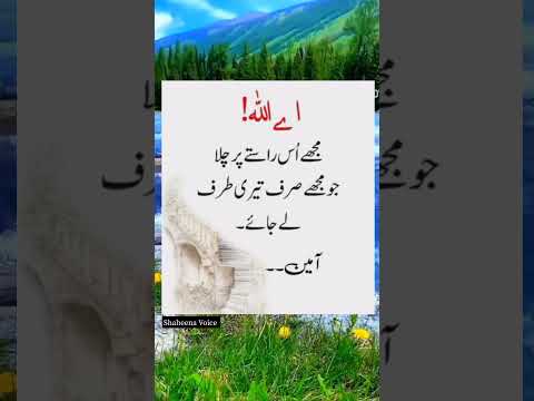 Islamic Quotes#shorts#shaheena voice#viral
