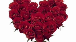 George Hamilton IV      HALF AS MUCH