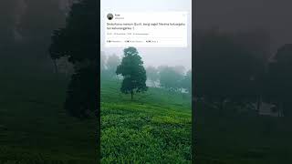 Download lagu story wa akhir tahun mp3