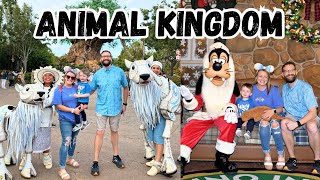 DISNEY'S ANIMAL KINGDOM VLOG - SOOO much Christmas Magic!!