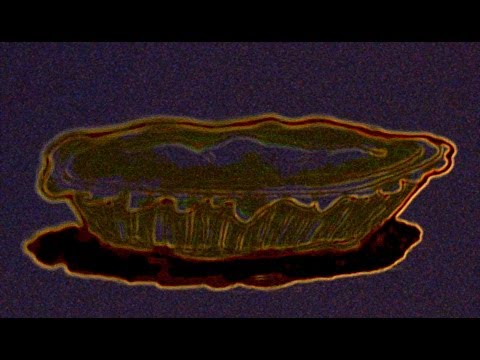 Whats in the Chicken Pot Pie? (KFC CPP INGREDIENTS) LOTS OF INGREDIENTS!