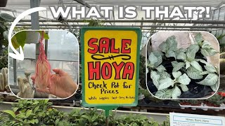 I’ve Never Seen Plants Like THIS Before 😳 | Nursery Tour