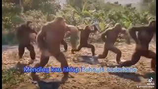 Download lagu LAGU KOCAK MISKIN BANYAK GAYA mp3