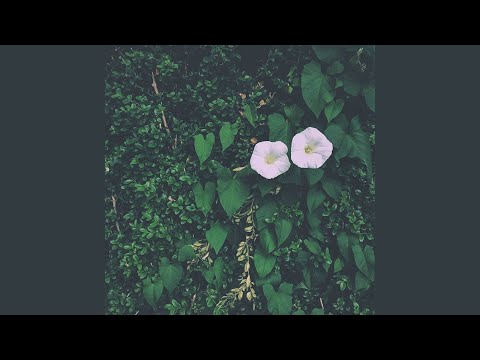 It's Raining in the Summer but It's All Good.