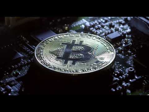 Nos bitcoin trader waylon