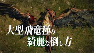 ウィッチャー3：大型飛竜種の美しい倒し方 #Shorts